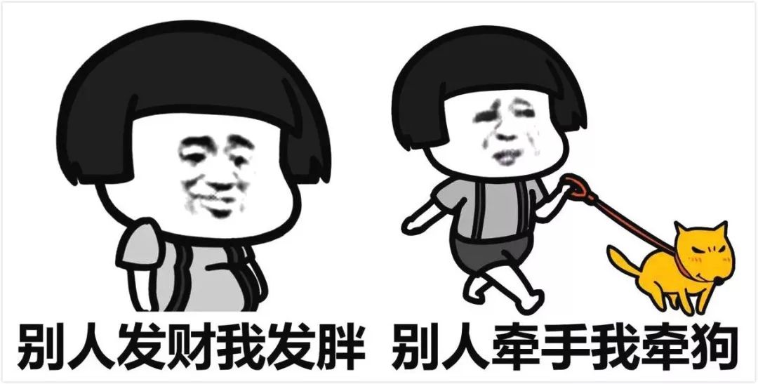 麦玲玲猪年十二生肖运程,麦玲玲2019属猴运程