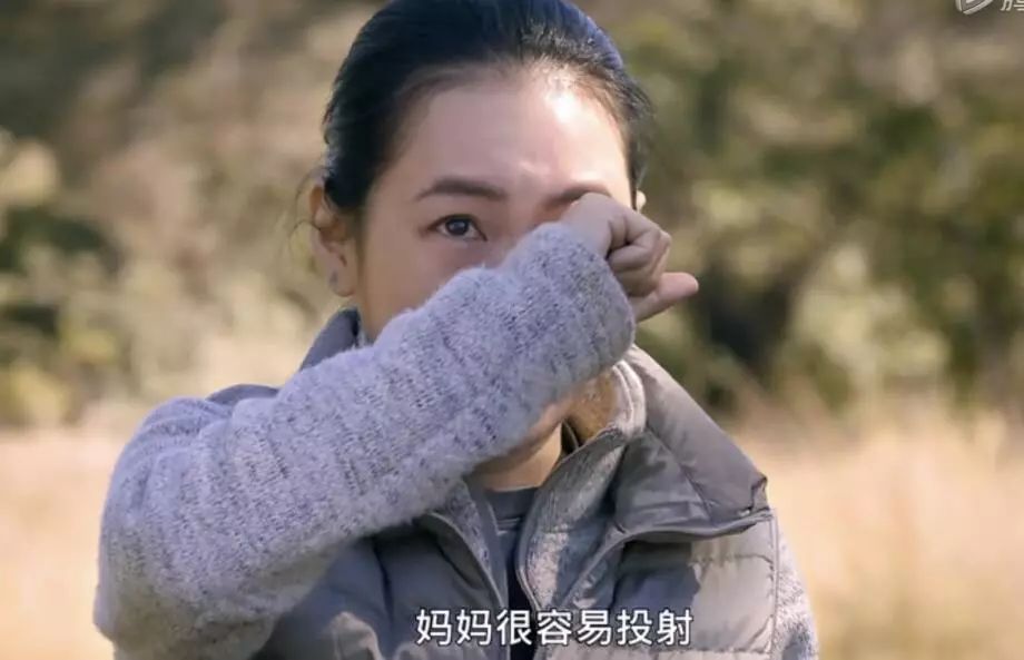 过年了，我们把这些私藏真爱送给你