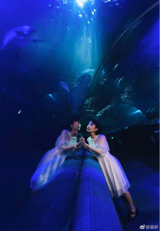 吴昕综艺讨论爱情,吴昕踏入恋爱综艺了