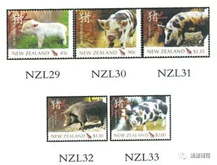 亥猪年十二生肖运势,猪年和什么生肖最合