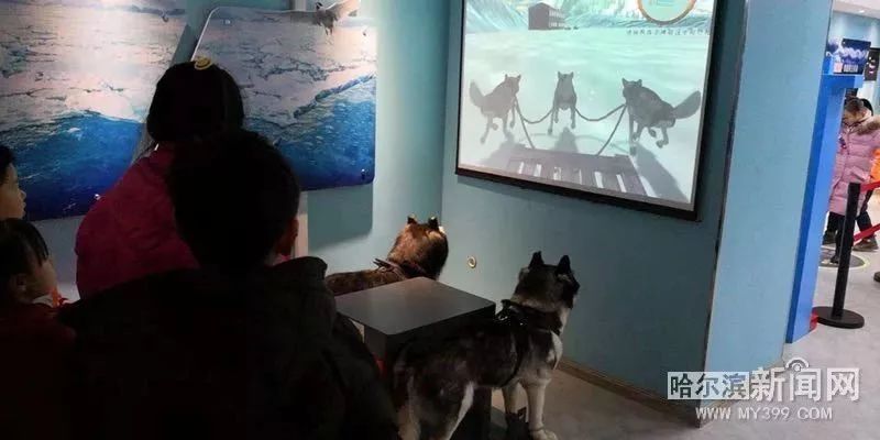 暑期科学遛娃好去处,遛娃好去处室内科技馆长春