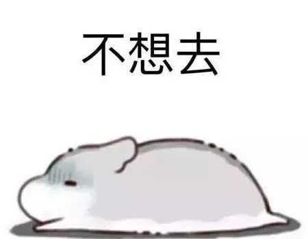 旅游防晕车攻略,晕车旅游攻略