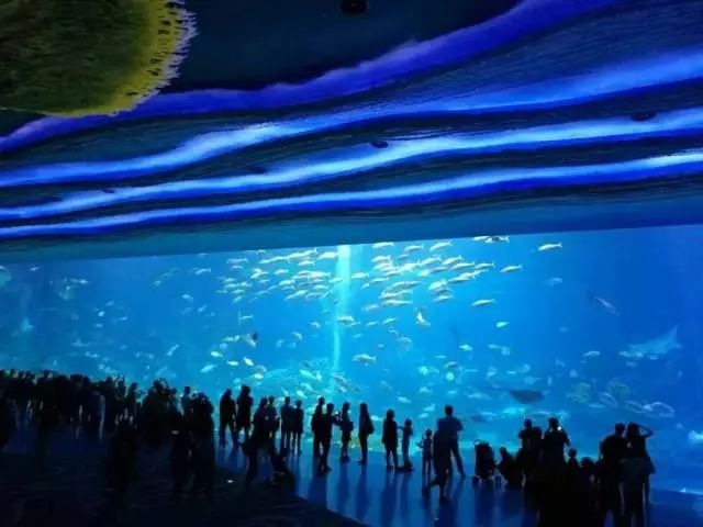 旅游防晕车攻略,晕车旅游攻略