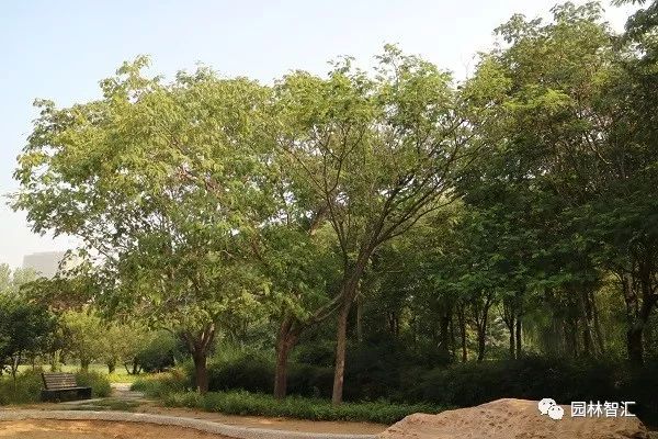 合家欢乐｜*欢合**、珍珠金*欢合**、香水*欢合**