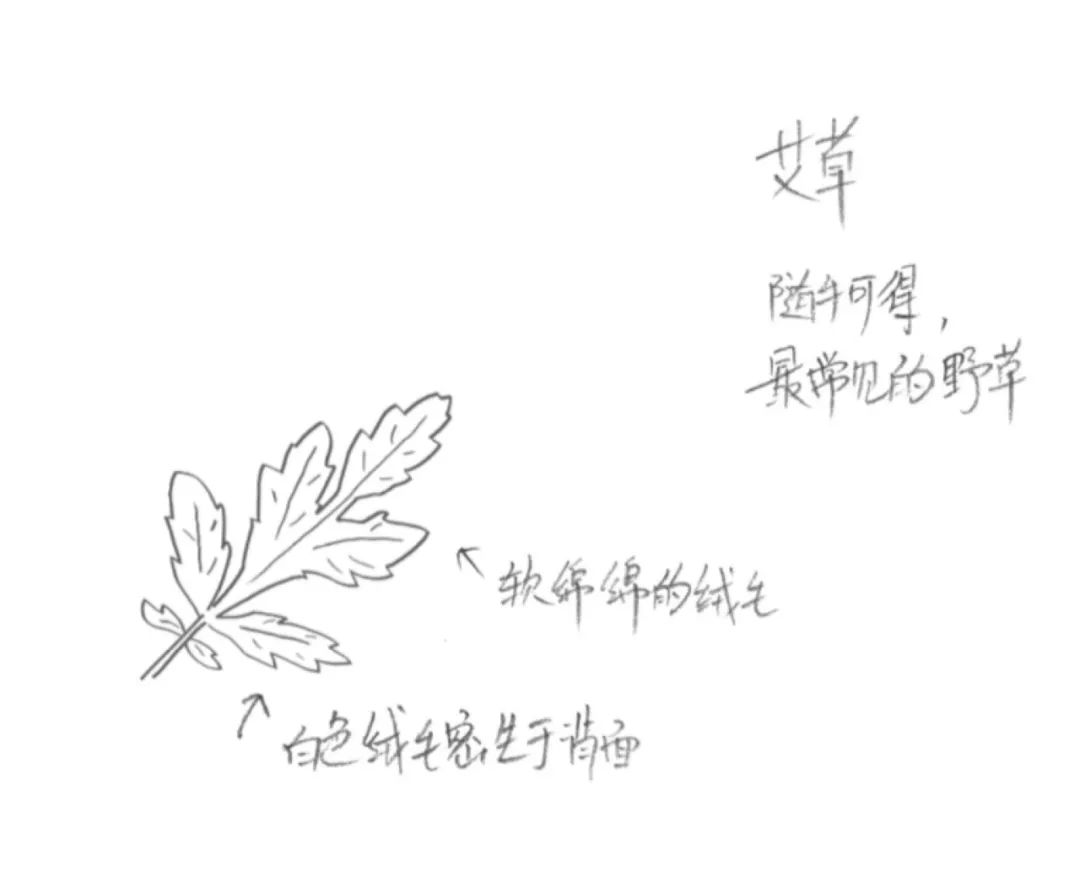 过完年你还回去吗,过完年别回来