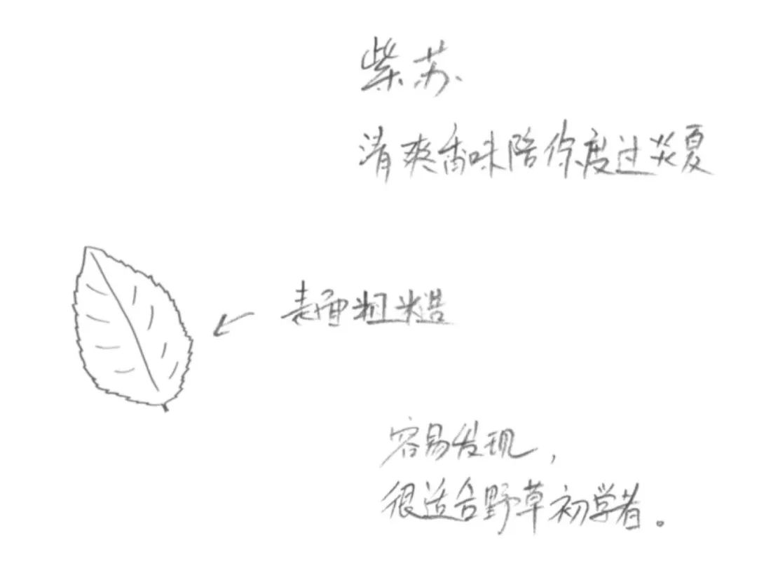 过完年你还回去吗,过完年别回来