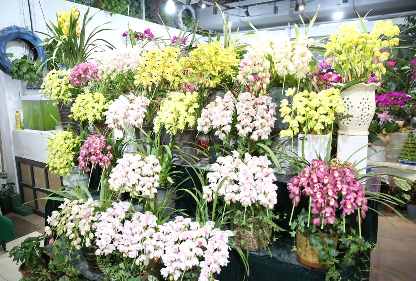 苏州比较有人气的综合体商场,苏州有个好大的商场叫啥