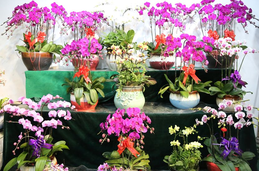 苏州比较有人气的综合体商场,苏州有个好大的商场叫啥