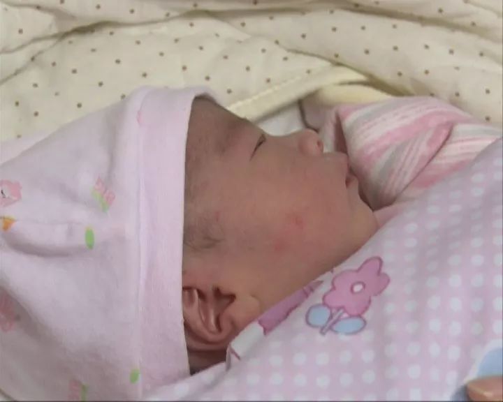 从古至今属猪的名人,属猪的历史名人