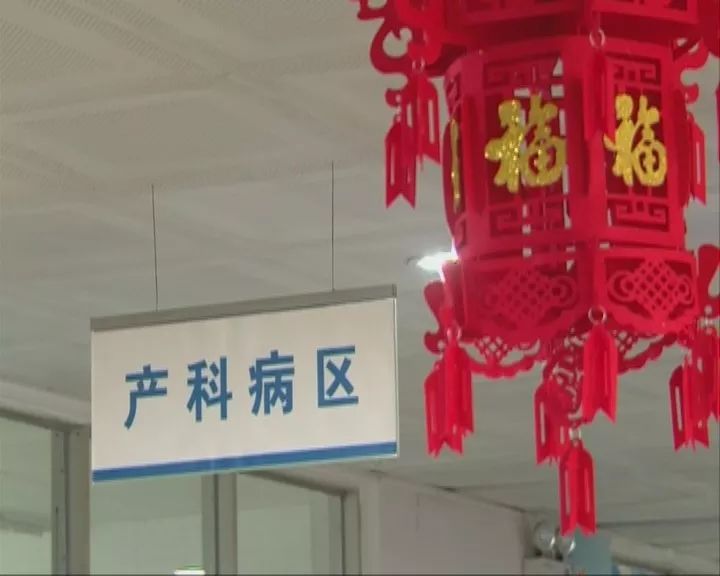 从古至今属猪的名人,属猪的历史名人