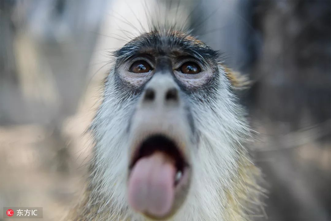 钟振彬：在俄罗斯，我真的拼了命｜东方IC摄影师自选辑