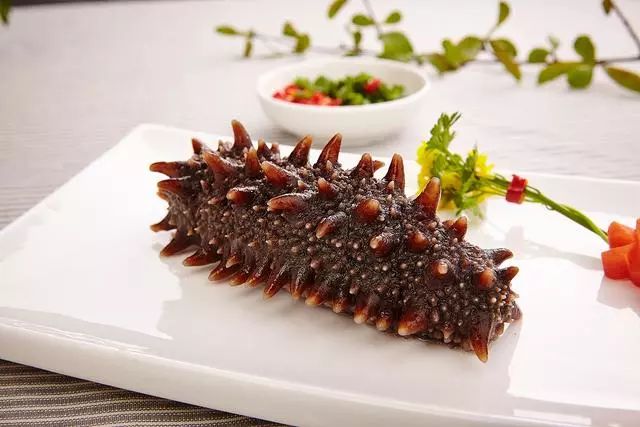 有人说吃海参养胃真的假的,经常吃海参能抗癌吗