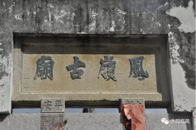 惊呆｜上华某村这块不起眼的“木头”，曾被用来搭鸡窝，结果发现竟是……