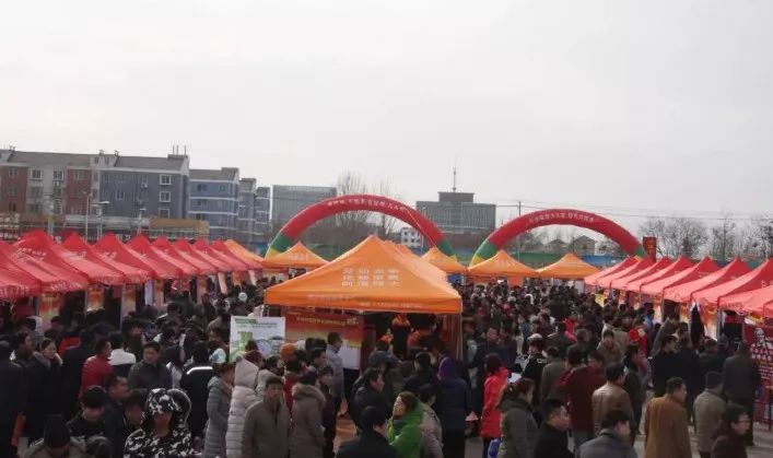 庆云招聘会在什么地方,桃州镇春风行动招聘会