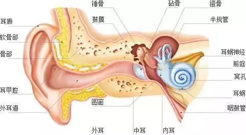 这不是危言耸听！年轻人，再这样做你就要聋了！