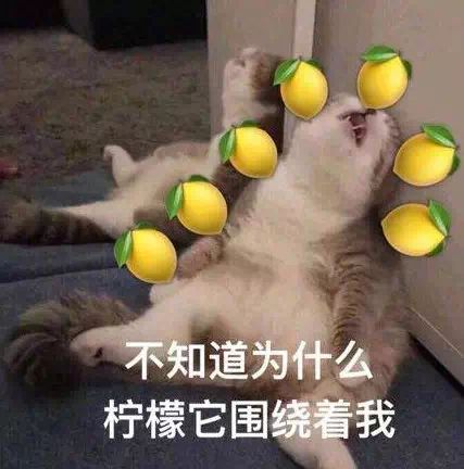 最贵的玫瑰花2000块一朵,最贵的玫瑰花花束