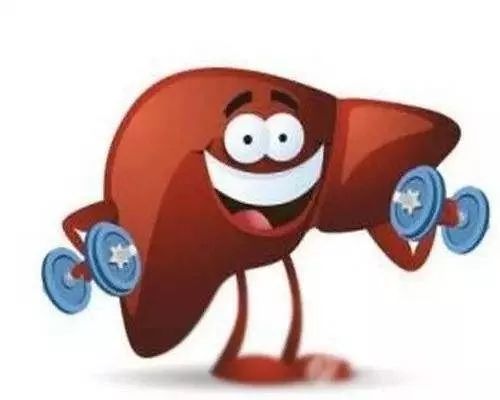 你的肝功能正常吗医生教你看懂,肝功能不正常怎么体检过关