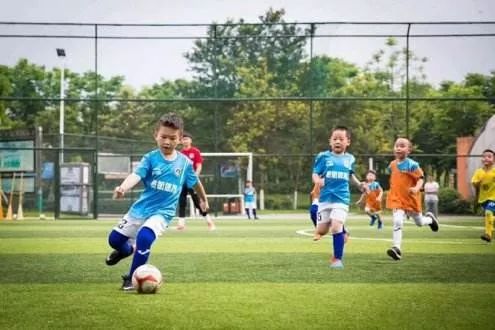 2019成都全国足球特点学校名单,南充十佳学校