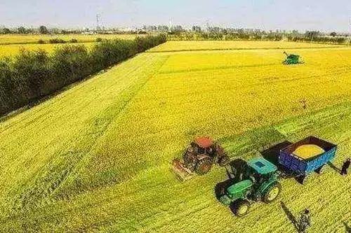 「改革开放中的今天」2002年2月15日，《河北日报》报道，全省首届修志任务已基本完成