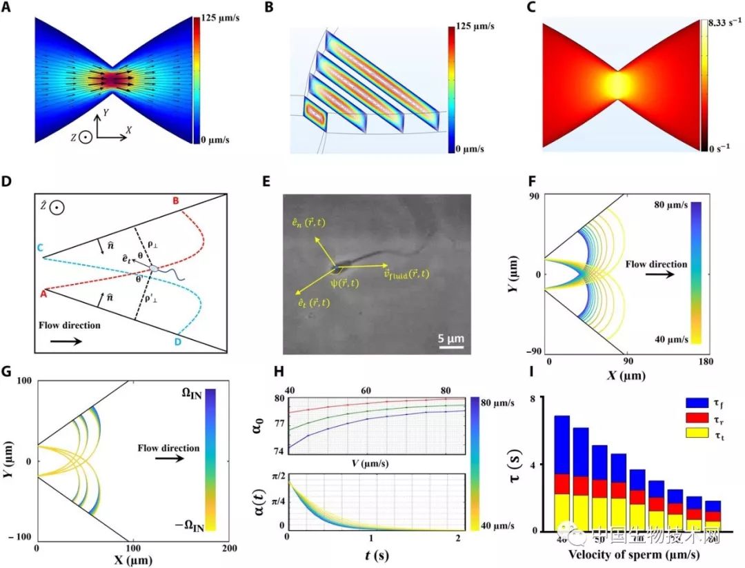 妇科医生优胜劣汰,女人优胜劣汰