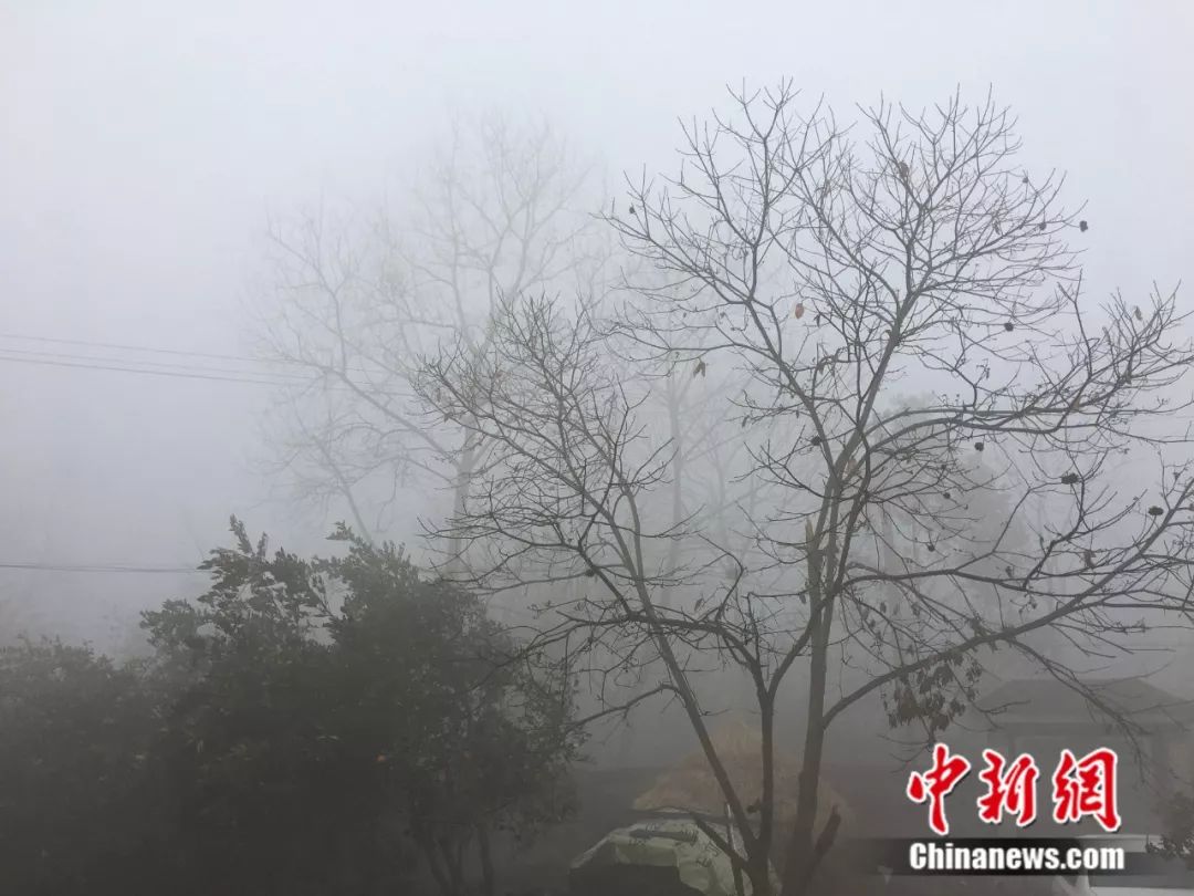 80后40岁感慨,40岁的80后的真实生活