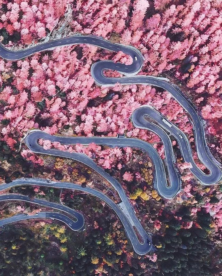 一个丑女穿上裙子惊艳所有人,女兵穿上裙子惊艳全场