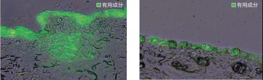 十二星座十二月脱单率,十二星座女生脱单指南