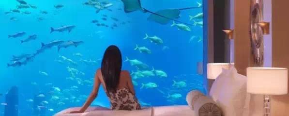 情人节必打卡酒店,情人节宝藏酒店推荐