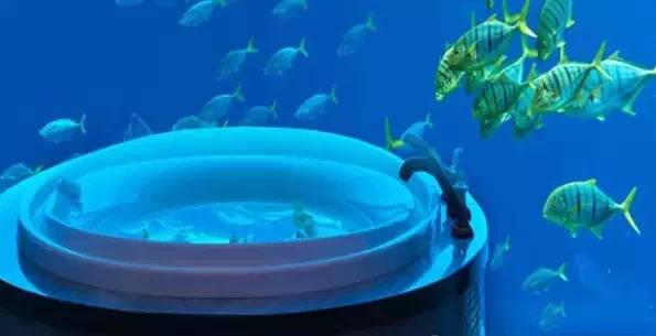 情人节必打卡酒店,情人节宝藏酒店推荐