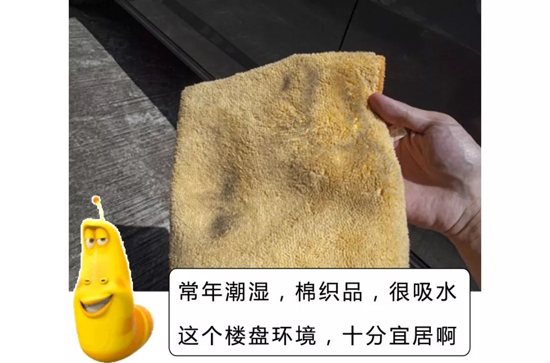 科普｜每天轻抚你的面，碰触你的身体对Ta的要求应该高一些！