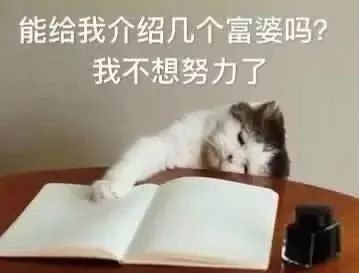 科普｜每天轻抚你的面，碰触你的身体对Ta的要求应该高一些！