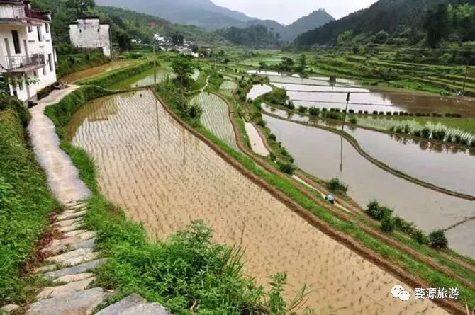 夏天婺源旅游攻略2天1晚,婺源旅游攻略三天两夜自由行