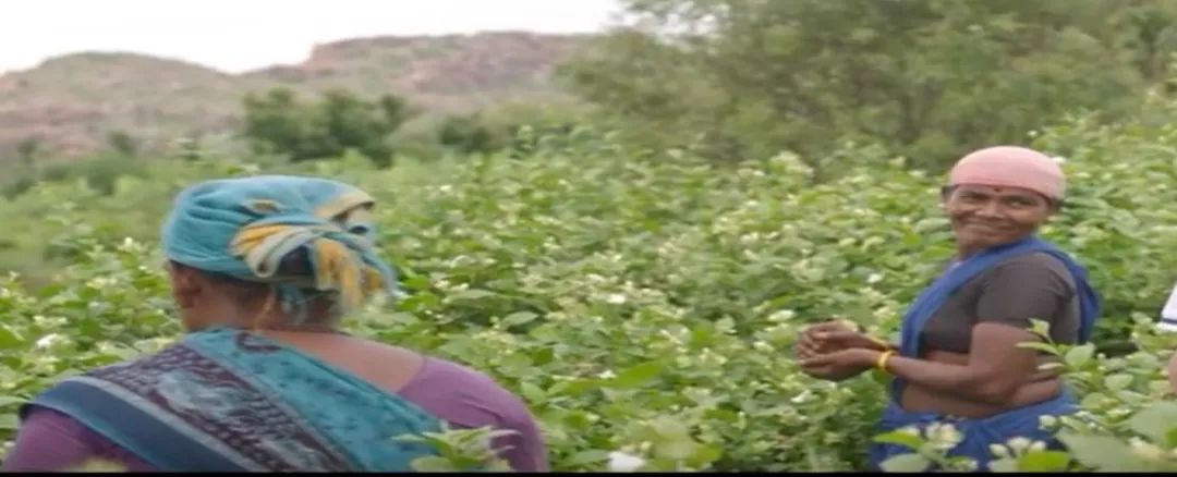 提升品牌力操作流程,中国制造品牌力怎么提升