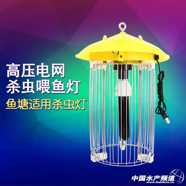 用灯光养树可以吗,用灯光可以养植物吗