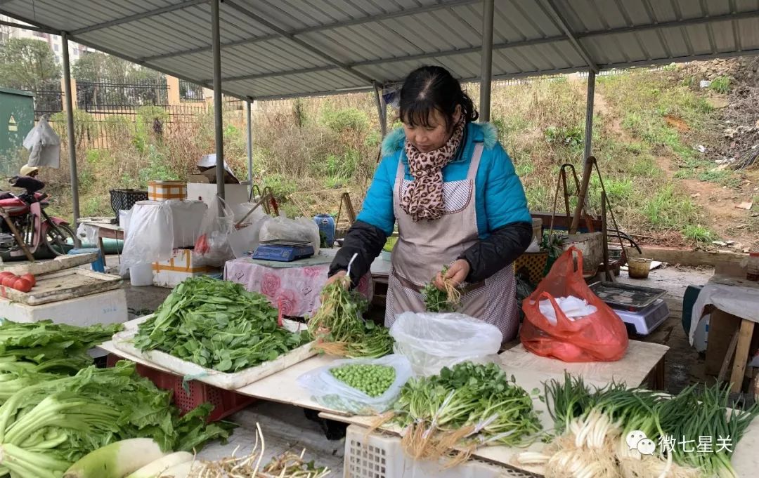 请转发给七星关的农民伯伯，这里的摊位免费！
