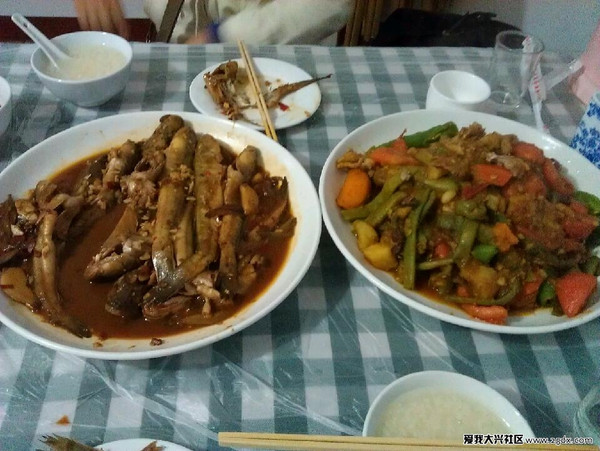 盘锦红海滩风景区现在风景怎么样,盘锦鼎翔生态旅游区几点开门