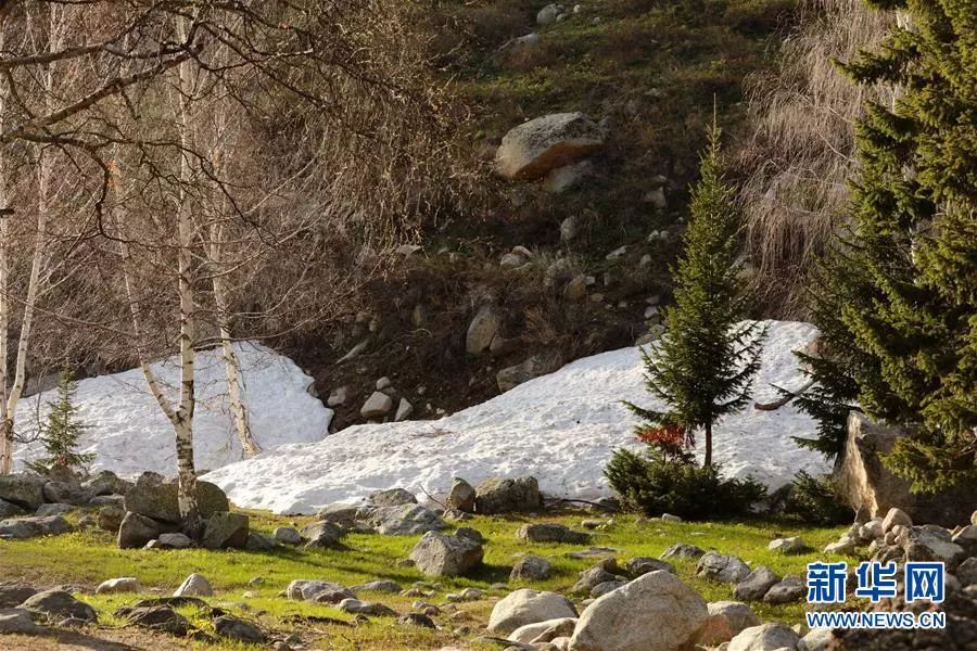 支教老师感动落泪的视频,泪目支教老师千字长文