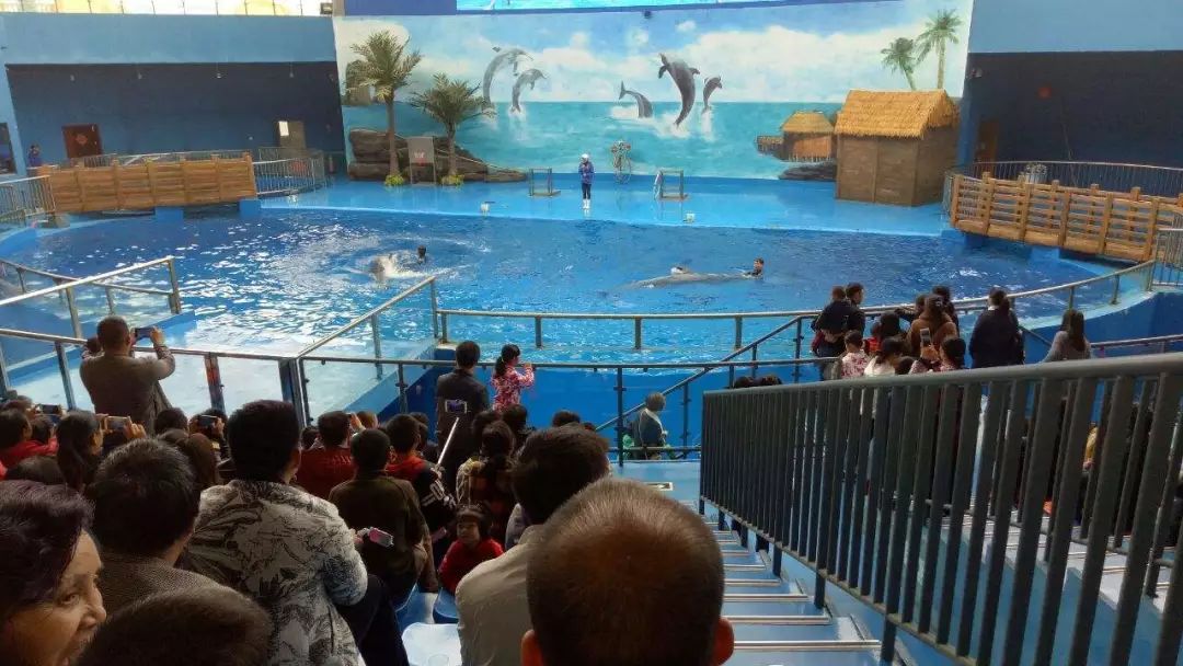 【潮玩】走啊，一起出去“浪里个浪儿~~~”