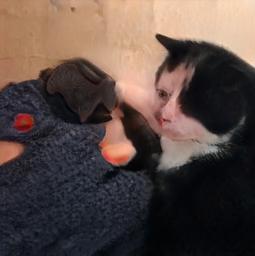 “每刷新一次生成一副假脸”的网站，迎来众多模仿者