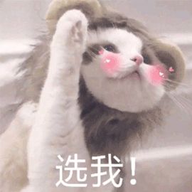 vlog新手免费剪辑软件推荐,新手vlog剪辑软件有哪些