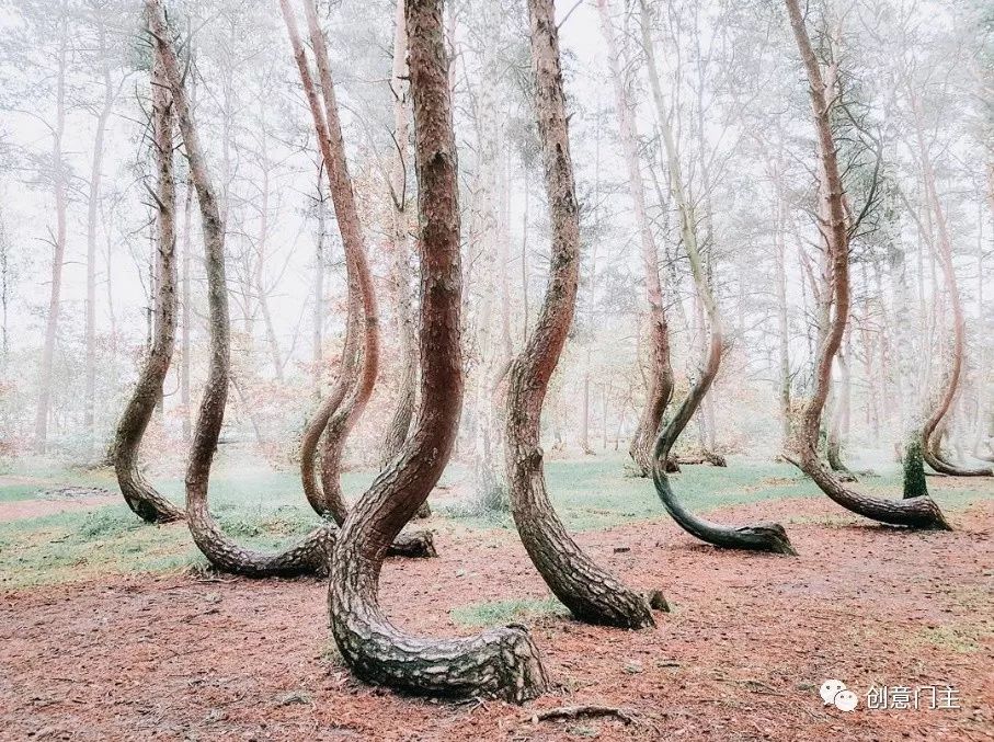 世界最美100个胜地,世界最美十大旅行地一生必去一次