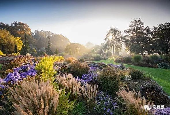 尼康肖像摄影大赛获奖作品欣赏,2021尼康获奖摄影作品欣赏