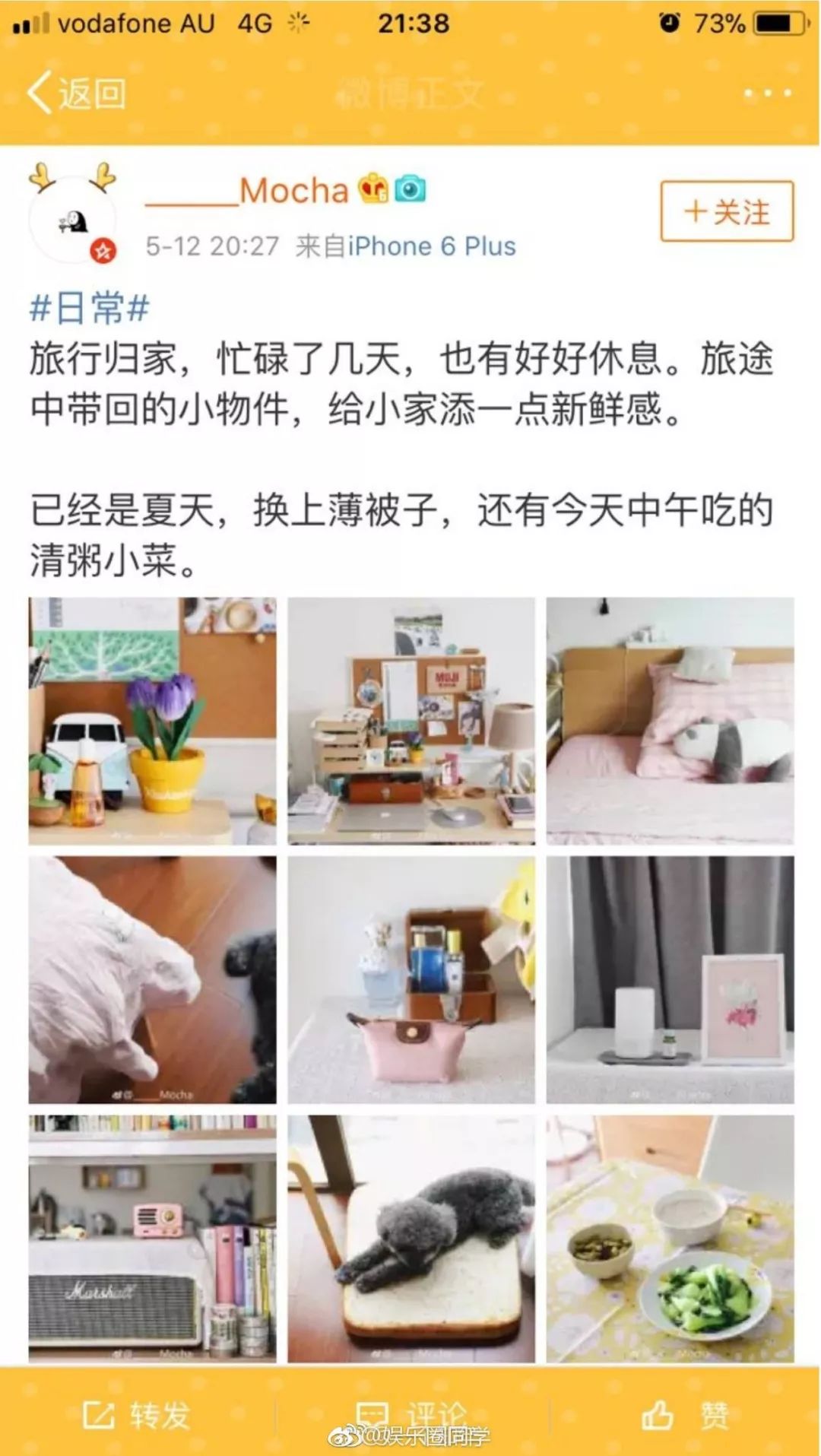 伪装MIT学霸，Ins盗图发博，求求这位戏精妹子别再给留学生招黑了