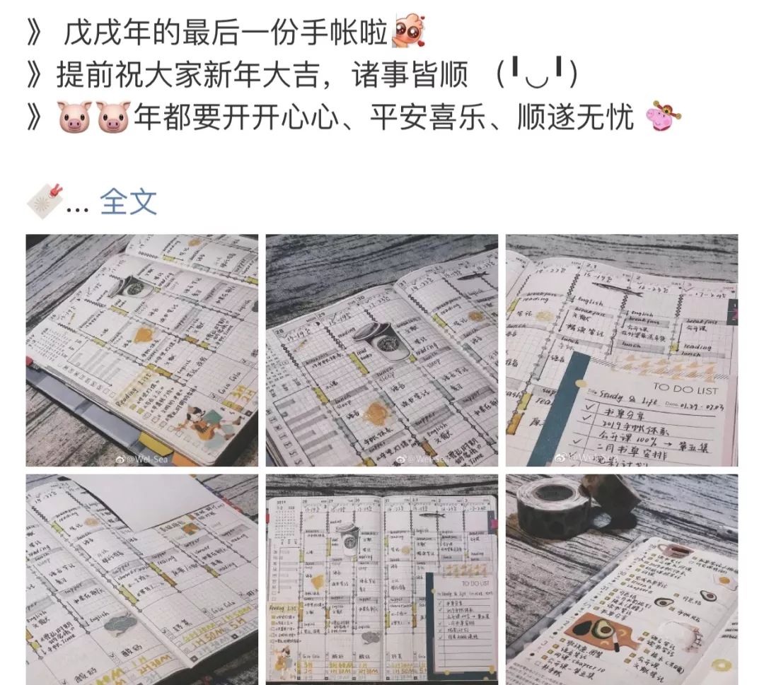 伪装MIT学霸，Ins盗图发博，求求这位戏精妹子别再给留学生招黑了