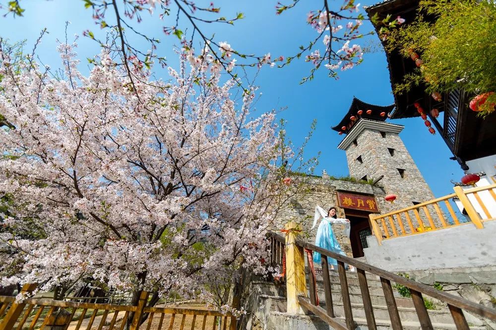 3月终于要放晴啦！出门赏花看剧，这里有攻略