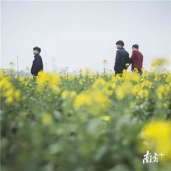 广东强对流天气回南天,广东天气预报最新雾天