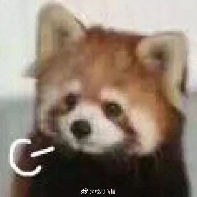 宝宝起名12个不宜用字介绍,宝宝起名大全2020忌用字