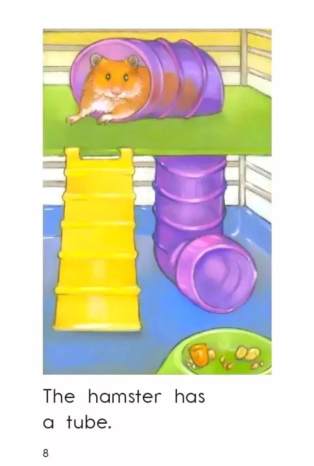 「英语轻松学」之《HamsterHome》仓鼠的家