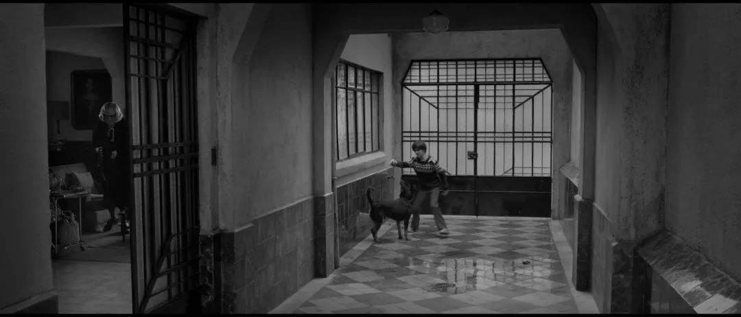 黑白摄影哪家强？回忆《罗马》《冷战》的奥斯卡之战！