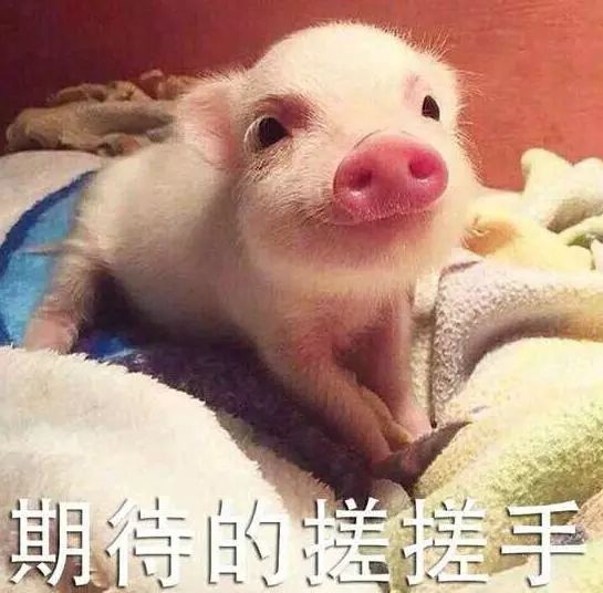 南宁二中三中怎么进,南宁二中和三中选哪个更好